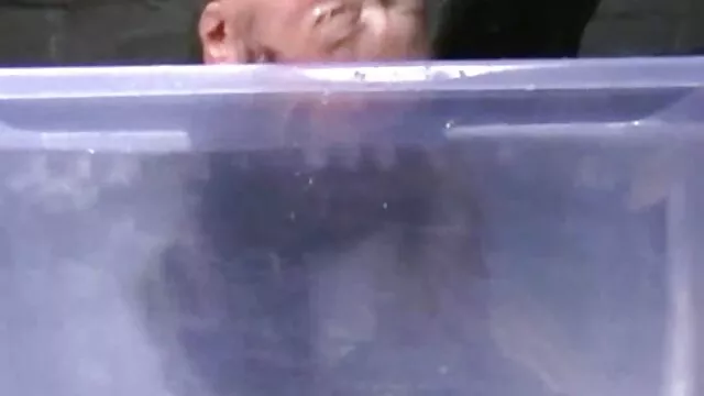 mmmm trójdrożny aparat seks filmy erotyczne